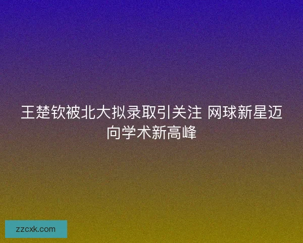王楚钦被北大拟录取引关注 网球新星迈向学术新高峰