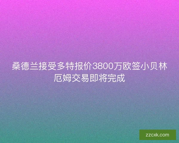 桑德兰接受多特报价3800万欧签小贝林厄姆交易即将完成