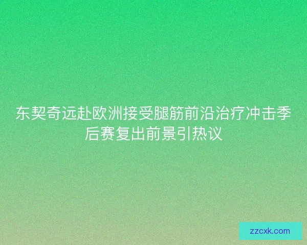 东契奇远赴欧洲接受腿筋前沿治疗冲击季后赛复出前景引热议 东契奇远赴欧洲接受腿筋前沿治疗冲击季后赛复出前景引热议