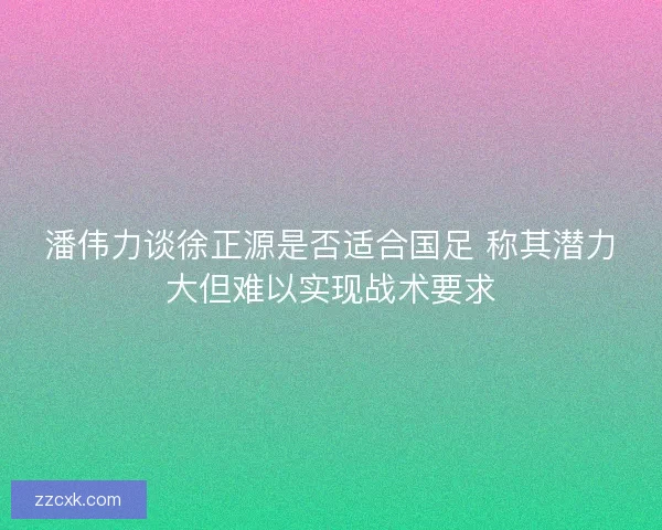 潘伟力谈徐正源是否适合国足 称其潜力大但难以实现战术要求